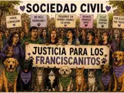 Senadora morenista justifica matanza de perros y gatos en Tecámac