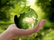 Sustentable vs Sostenible: diferencias clave que debes conocer