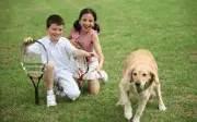Top 5 razas de perro amables para convivir con niños pequeños