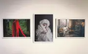 WunderKammer: 100 imágenes celebran la diversidad fotográfica de Jalisco