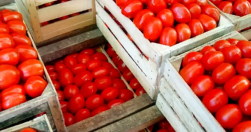 160 organizaciones agroalimentarias de Norteamérica defienden el T-MEC