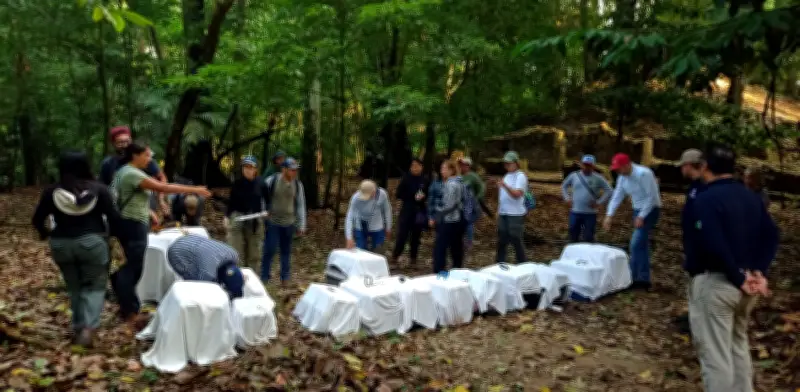 17 primates regresan a la selva en Chiapas tras ser rescatados del tráfico ilegal