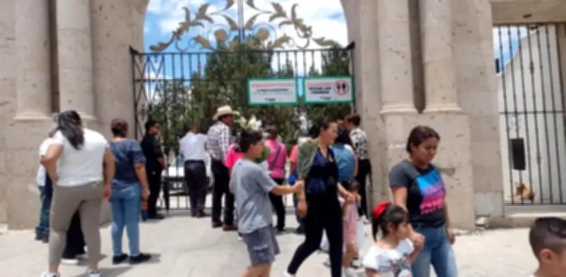 Abejas obligan a cerrar panteón en Saltillo en pleno Día del Padre; 10 lesionados