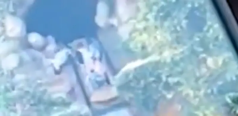 Adolescente cae de atracción en Disneyland California sin lesiones graves