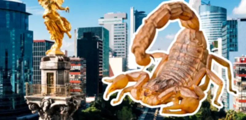 Alacranes en CDMX: tipos, identificación y qué hacer ante una picadura