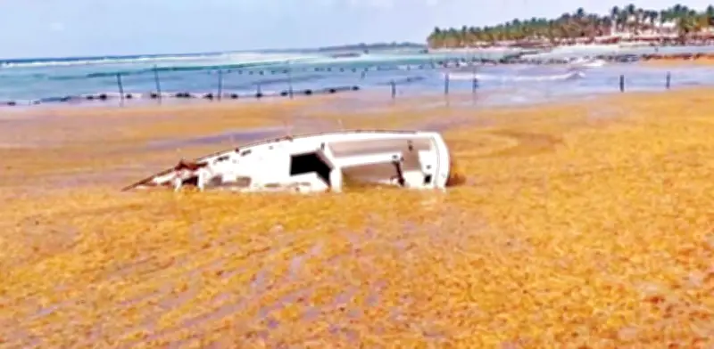 Alerta en Caribe mexicano por gases tóxicos del sargazo en descomposición