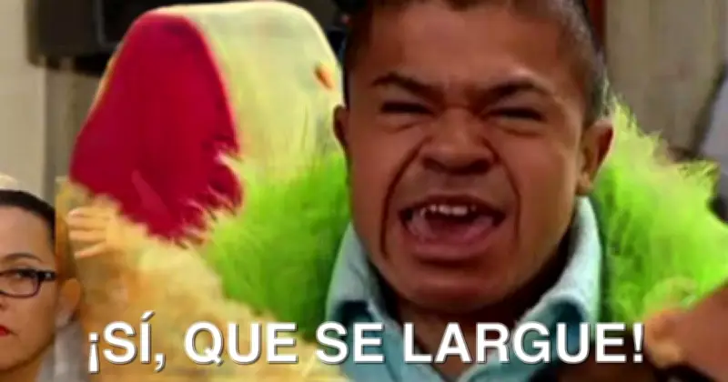 Así nació el meme 'Sí, que se largue' de La Familia P. Luche