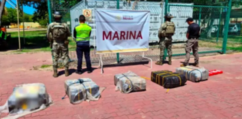 Aseguran 270 kilos de cocaína en puerto de Manzanillo