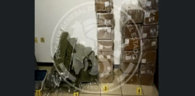 Aseguran 86 kilos de marihuana en cateo a casa en General Escobedo, NL