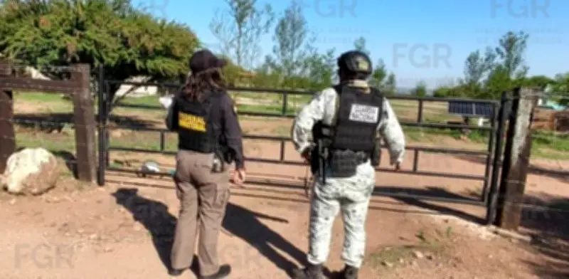 Aseguran armas, vehículos y droga tras cateo en Durango