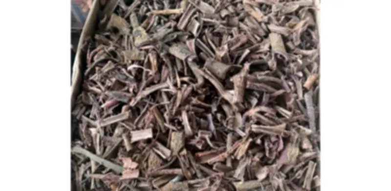 Aseguran más de 1.8 toneladas de corteza de tepezcohuite en México
