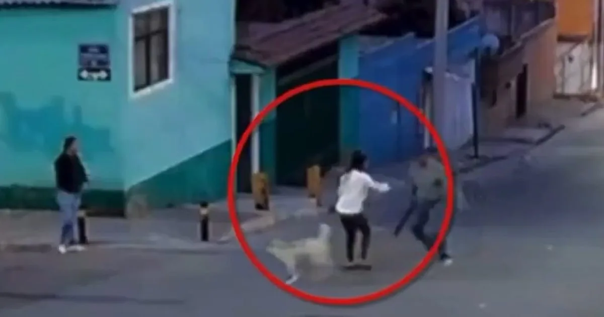 Mujer es atacada con machete por defender perros callejeros en Puebla