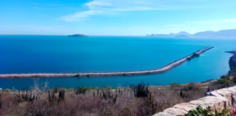 Bahía de Ohuira: Semarnat vigila planta de amoniaco en Topolobampo