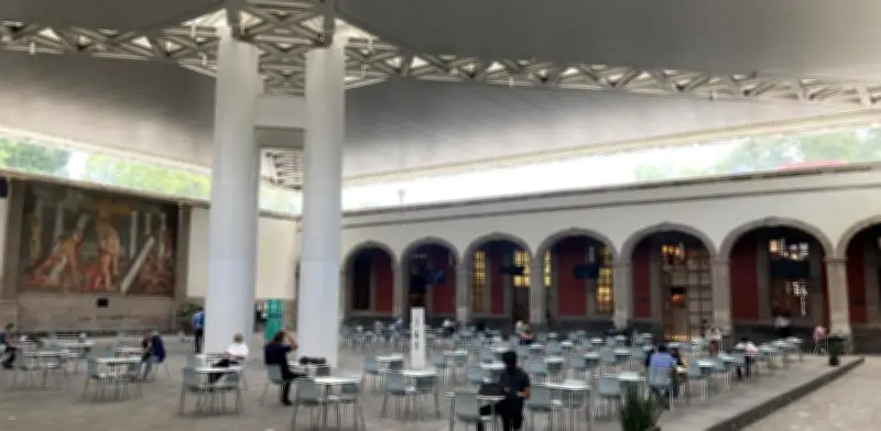 Bibliotecarios rechazan a Guillermina Pérez Suárez en la DGB