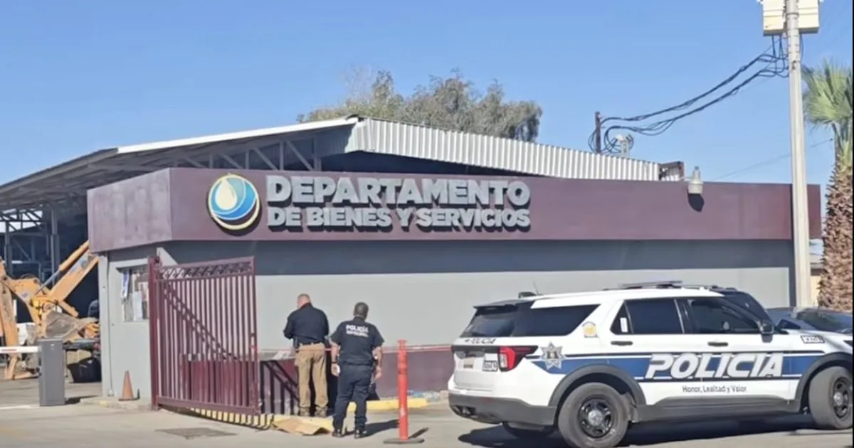 Dejan cabeza de cerdo y amenaza contra funcionario en Mexicali