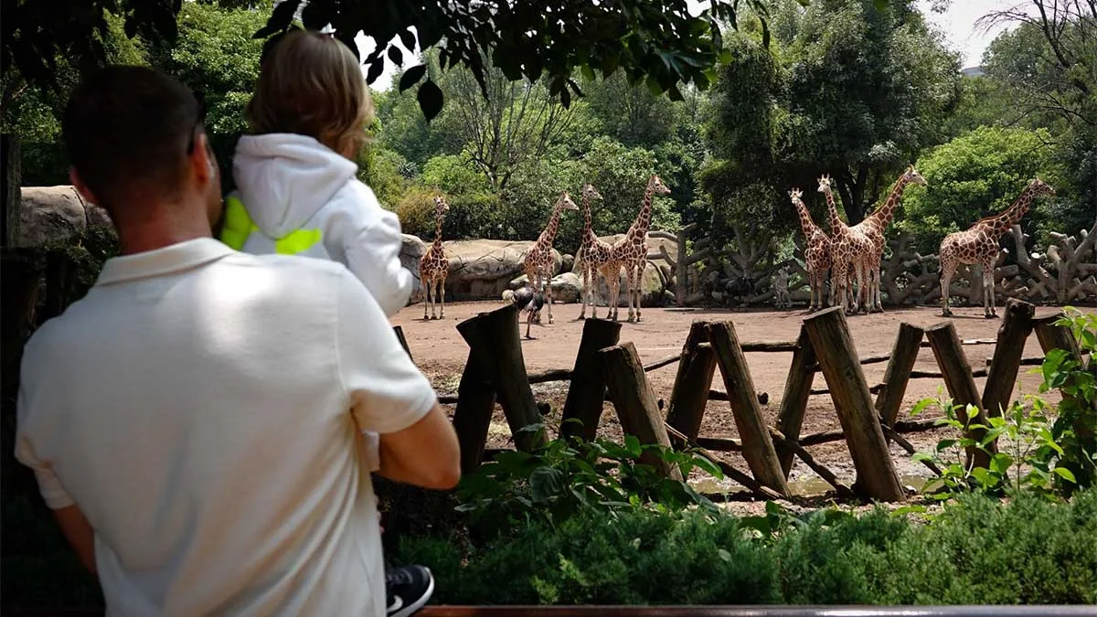 CDMX niega negligencia tras reportaje sobre muerte de 384 animales en zoológicos