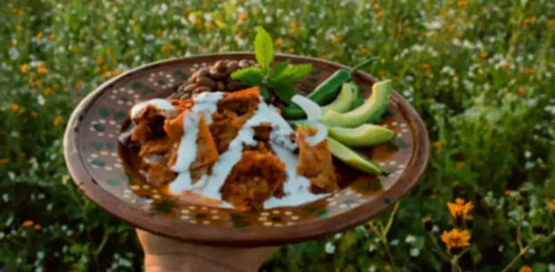 Chilaquiles en salsa de chile pasilla: receta fácil para un almuerzo mexicano