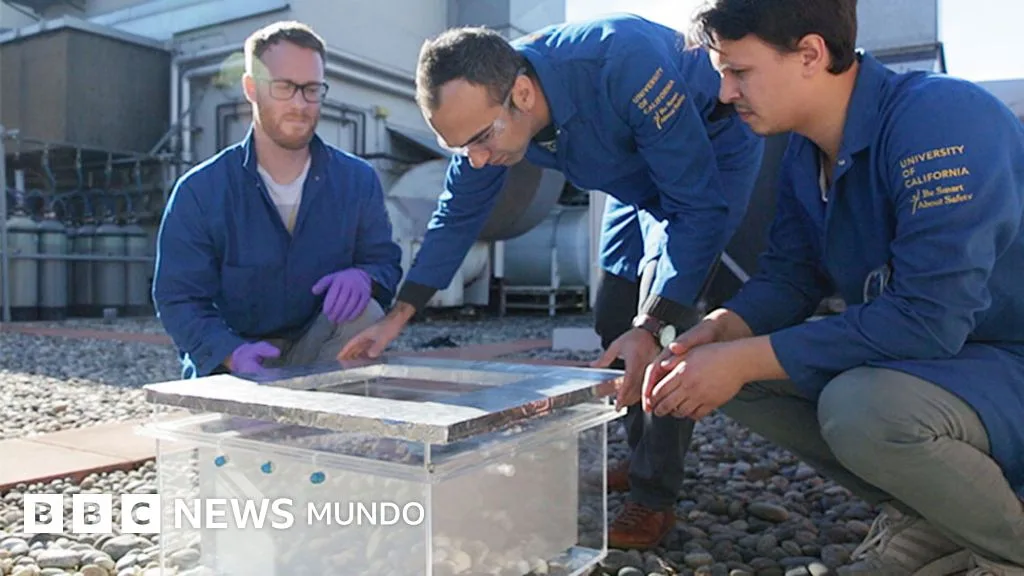 Científicos crean oasis tecnológicos que extraen agua del aire desértico