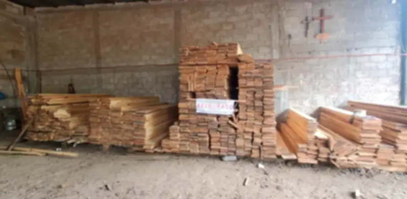 Clausuran aserradero en Puebla; aseguran más de 37 m³ de madera ilegal