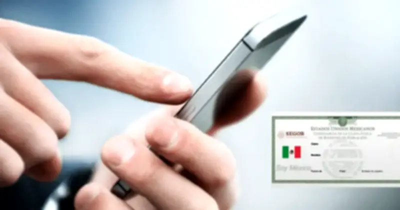 Cómo consultar celulares registrados con tu CURP en México