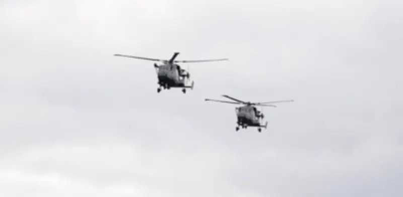 Colisión de helicópteros en Brasil causa seis muertos