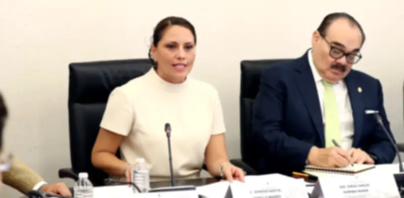 Congreso ratifica a Jennifer Krystel Castillo como jefa de Grandes Contribuyentes del SAT
