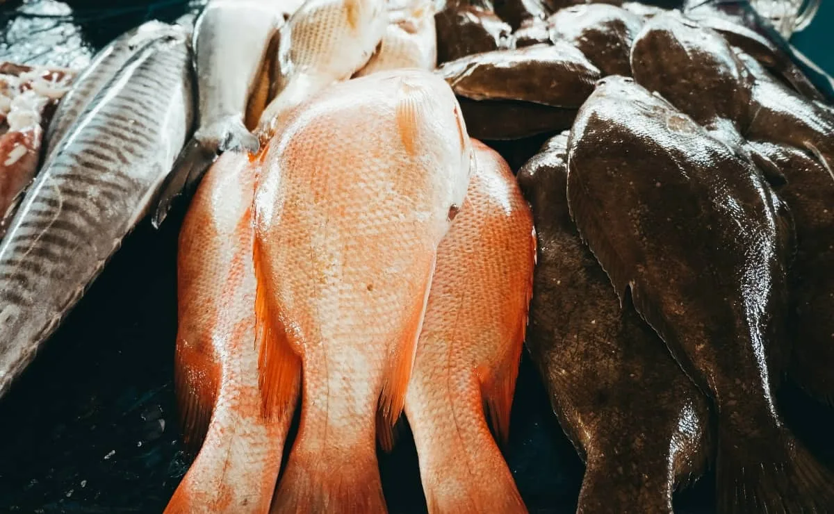 Ventas de pescado caen hasta 40% en Semana Santa por inflación