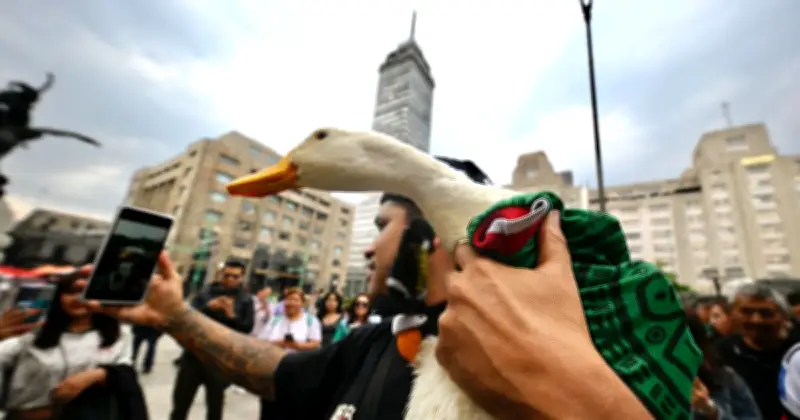 De vender aguas a conquistar el Mundial: la historia del Pato Merlín y su registro de marca
