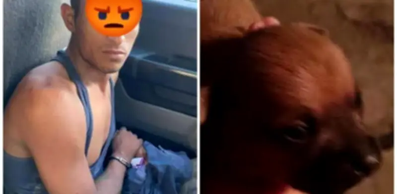 Detienen a sujeto que mató, cocinó y se comió a un perrito chihuahua en Coahuila