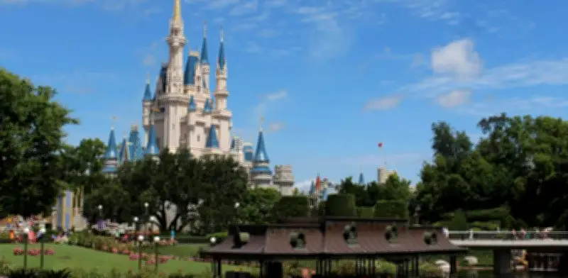 Disney retira 414 caimanes tras muerte de niño en 2016