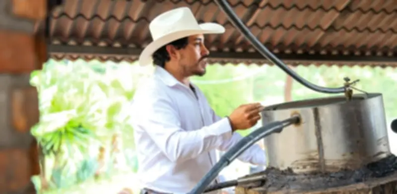 Edomex lanza rutas turísticas del Mezcal y la Flor para impulsar economía