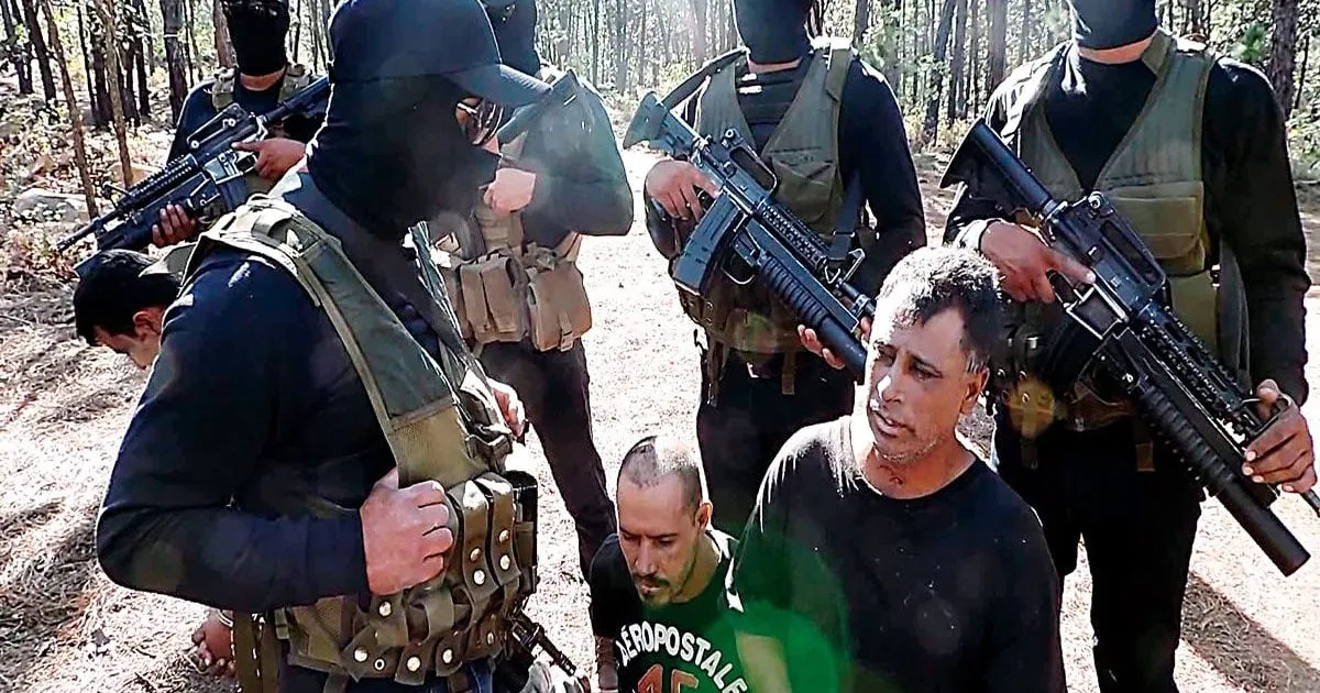 Elecciones Criminales Sombra Del Narco En 2026