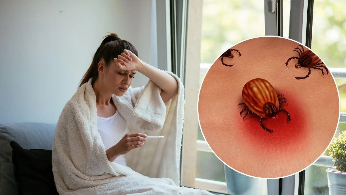 Enfermedad de Lyme: la 'gran imitadora' que se confunde con lupus y fibromialgia