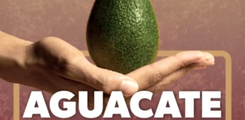 Entregan reconocimiento de Indicación Geográfica a aguacate michoacano