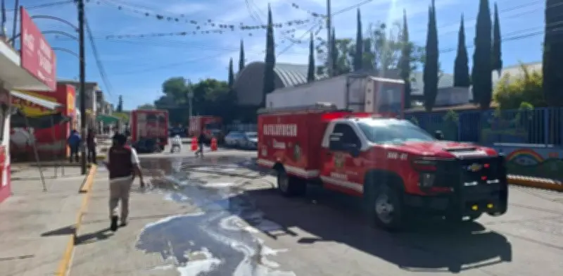 Evacúan escuela en Hidalgo tras ataque de abejas a más de 20 estudiantes