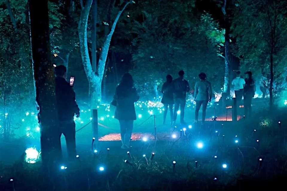 Evento en Chapultepec operó sin permisos gracias a decreto de 2003