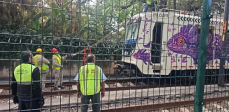Falla en Tren Ligero de CDMX por cable roto a días del Mundial 2026