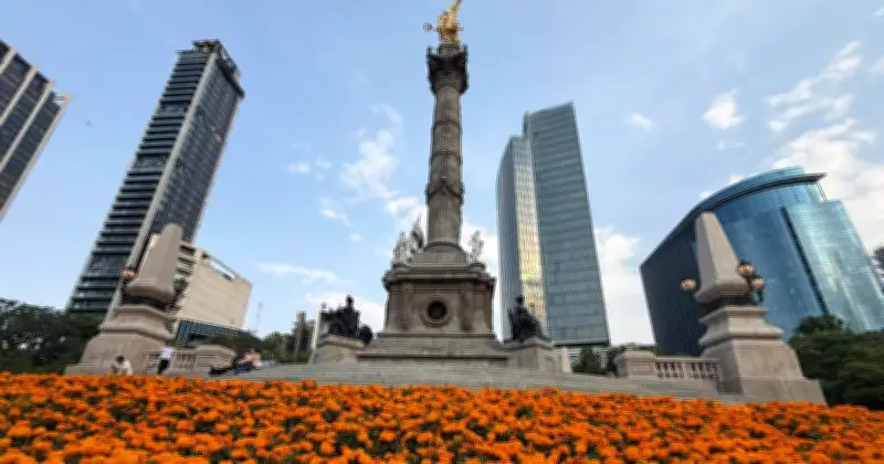Flores de cempasúchil adornan CDMX en junio por Mundial 2026