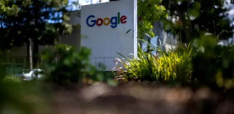 Google liberará 32 millones de mosquitos en EE.UU. para combatir enfermedades