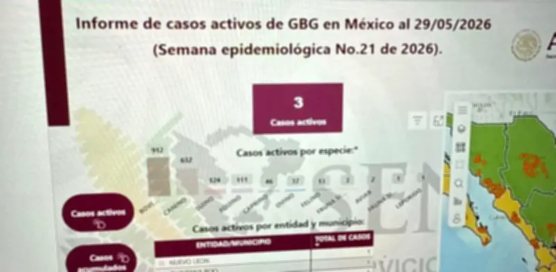 Gusano barrenador en Nuevo León: primer caso en fauna silvestre reportado