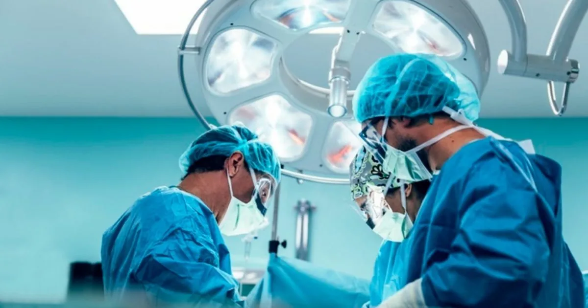 Paciente sobrevive 171 días tras primer xenotrasplante de hígado de cerdo modificado genéticamente