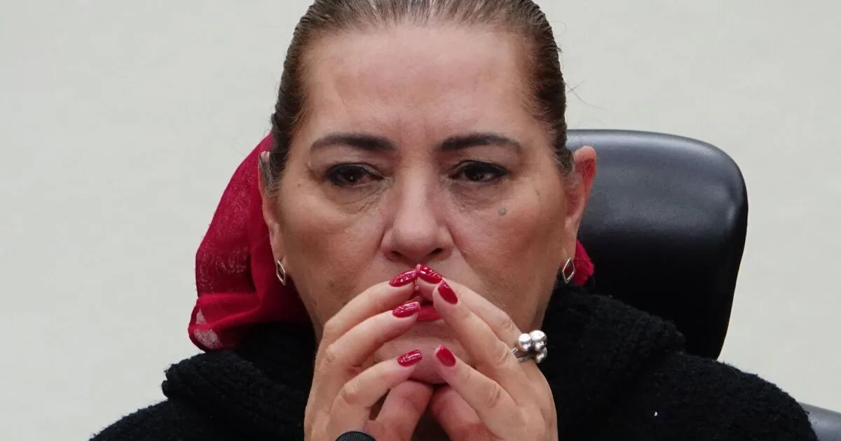 INE expondrá postura sobre Plan B electoral en audiencia con Senado