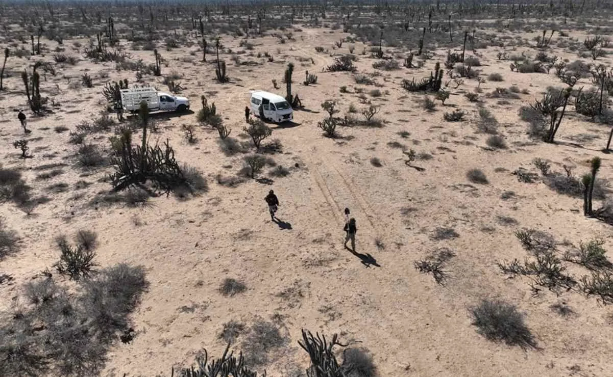 Hallan 21 osamentas en una fosa clandestina en Baja California Sur