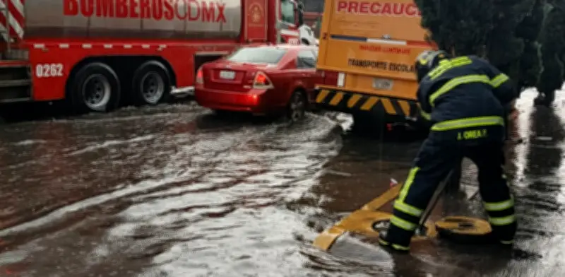 Lluvia matutina deja 79 árboles caídos y severos estragos en CDMX y Edomex