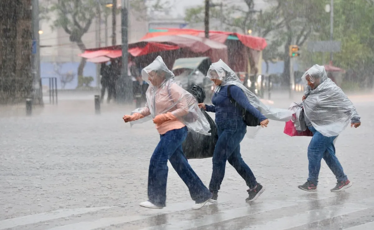 Lluvias en CDMX dejan 20 árboles caídos y afectaciones en Iztapalapa y Coyoacán