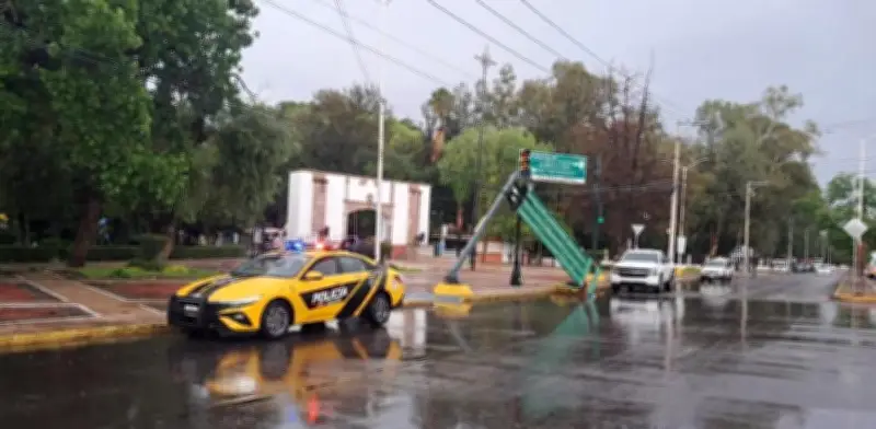 Lluvias en Durango dejan árboles caídos y semáforos dañados
