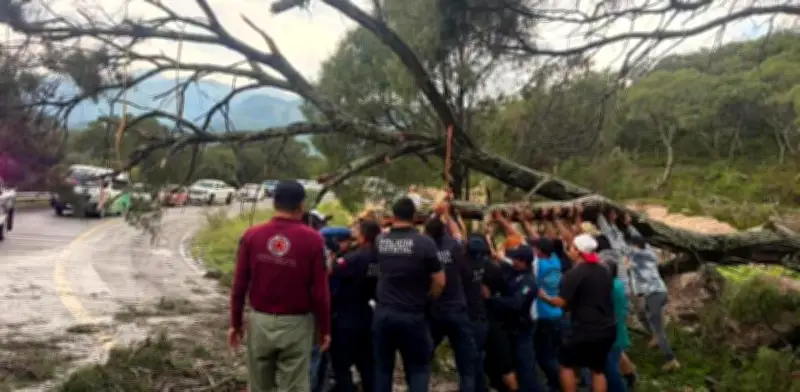 Lluvias en Hidalgo: deslaves, cortes de luz y afectaciones en 22 municipios