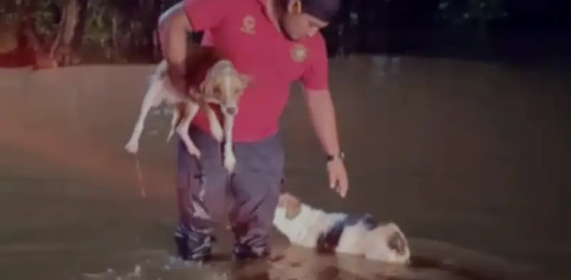 Lluvias torrenciales inundan Campeche: agua subió un metro en 20 minutos
