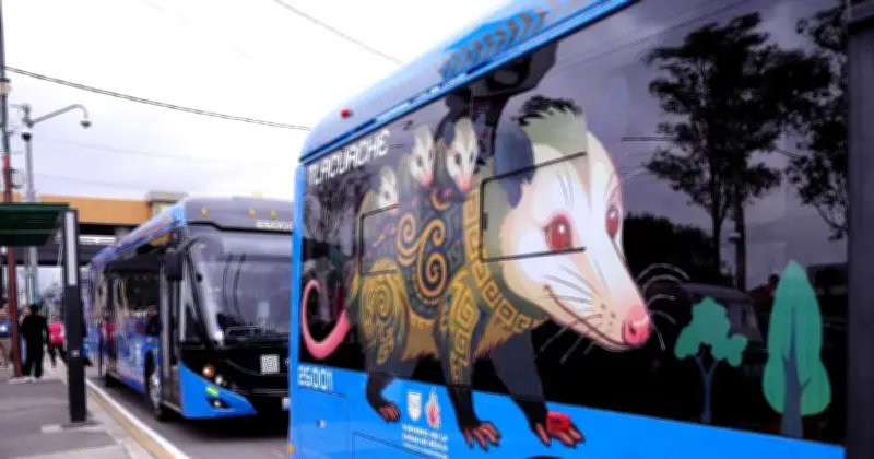 Línea 14 del Trolebús: Ruta de los Animales Silvestres en CDMX