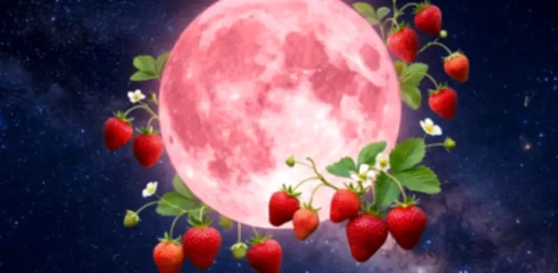Luna de Fresa 2026 en México: fecha, hora y rituales de amor y abundancia